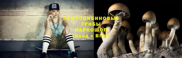 МДПВ Приозерск
