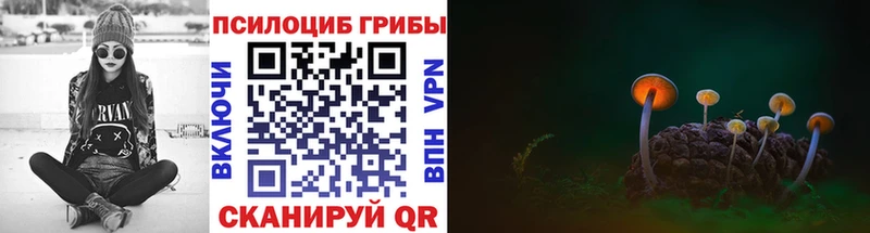где купить   Бугуруслан  Псилоцибиновые грибы Magic Shrooms 
